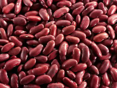 england red kidney beans for sale
