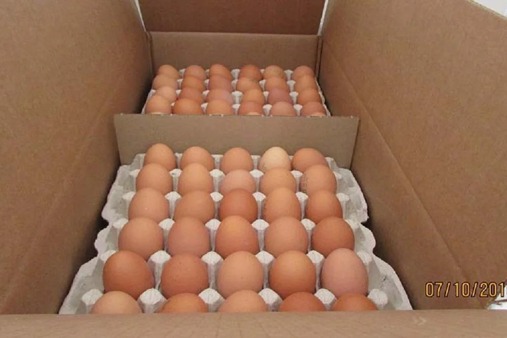 Bulk Farm Chicken Eggs Export To Hong Kong,Mexico,Dubai Buy Chicken