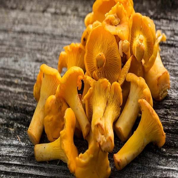 Acheter des lots d'ensemble french moins chers galerie d'image french