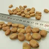 /product-detail/quality-broad-beans-for-export-62010305751.html