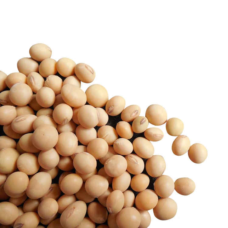 Kuning Organik Kedelai Produk Pertanian Kacang Kedelai dengan Harga Murah