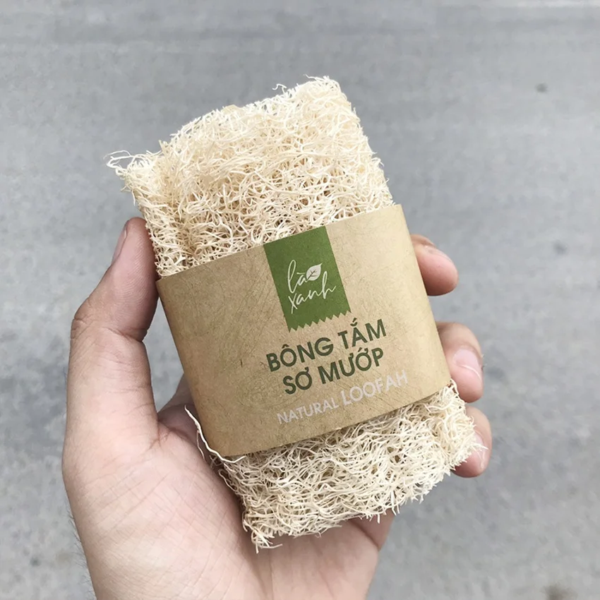 Raw Loofah Sponge Vietnam / Natural Luffa Cheap / Luffa Bulk Sale +84 33 727 9933 Buy