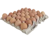 /product-detail/farm-fresh-chicken-table-eggs-brown-and-white-shell-chicken-62010457004.html