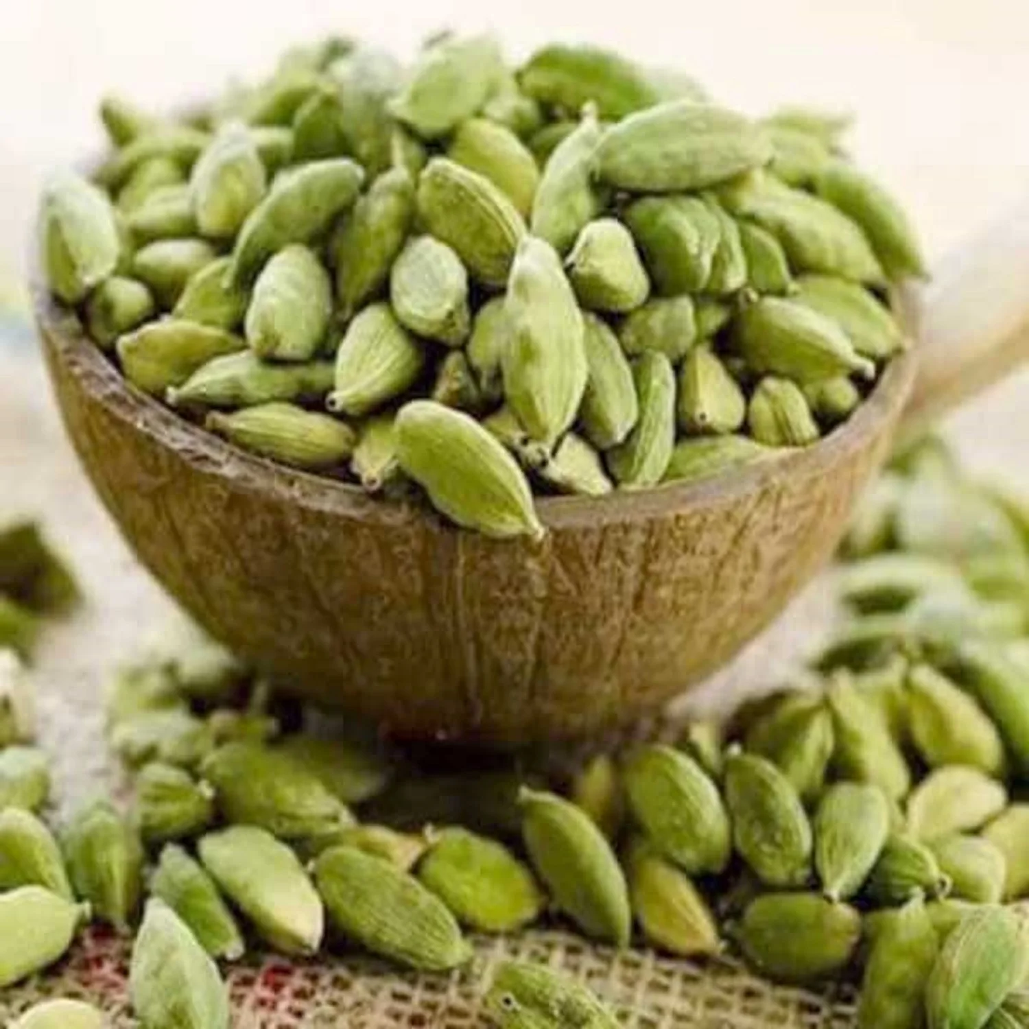 wholesale top quality green cardamom for sale