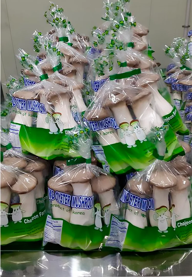 韩国有机原料新鲜栽培杏鲍菇/新鲜和干燥香菇切片gap认证出口美国