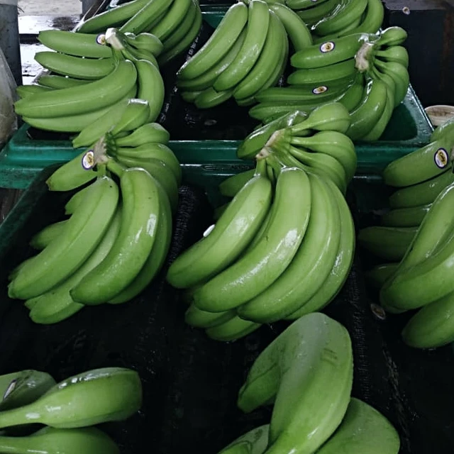 
BANANAS from Ecuador 