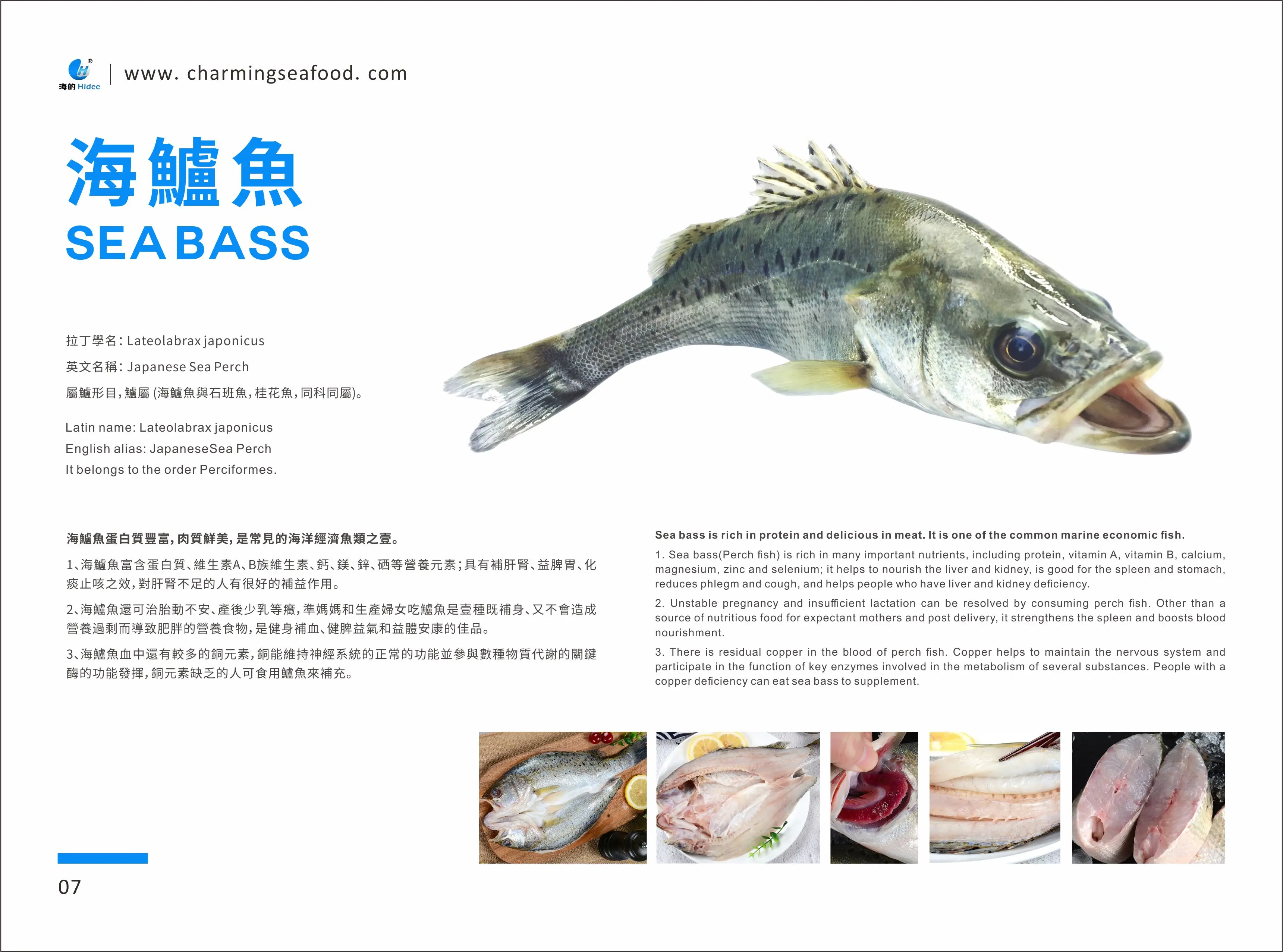 
Hidee Seafood Frozen Sea Bass Fish Aquatic Products Ocean Foods Seabass Yellow Croaker Golden Pomfret Shrimp 