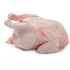 /product-detail/halal-whole-frozen-chicken-62011544766.html