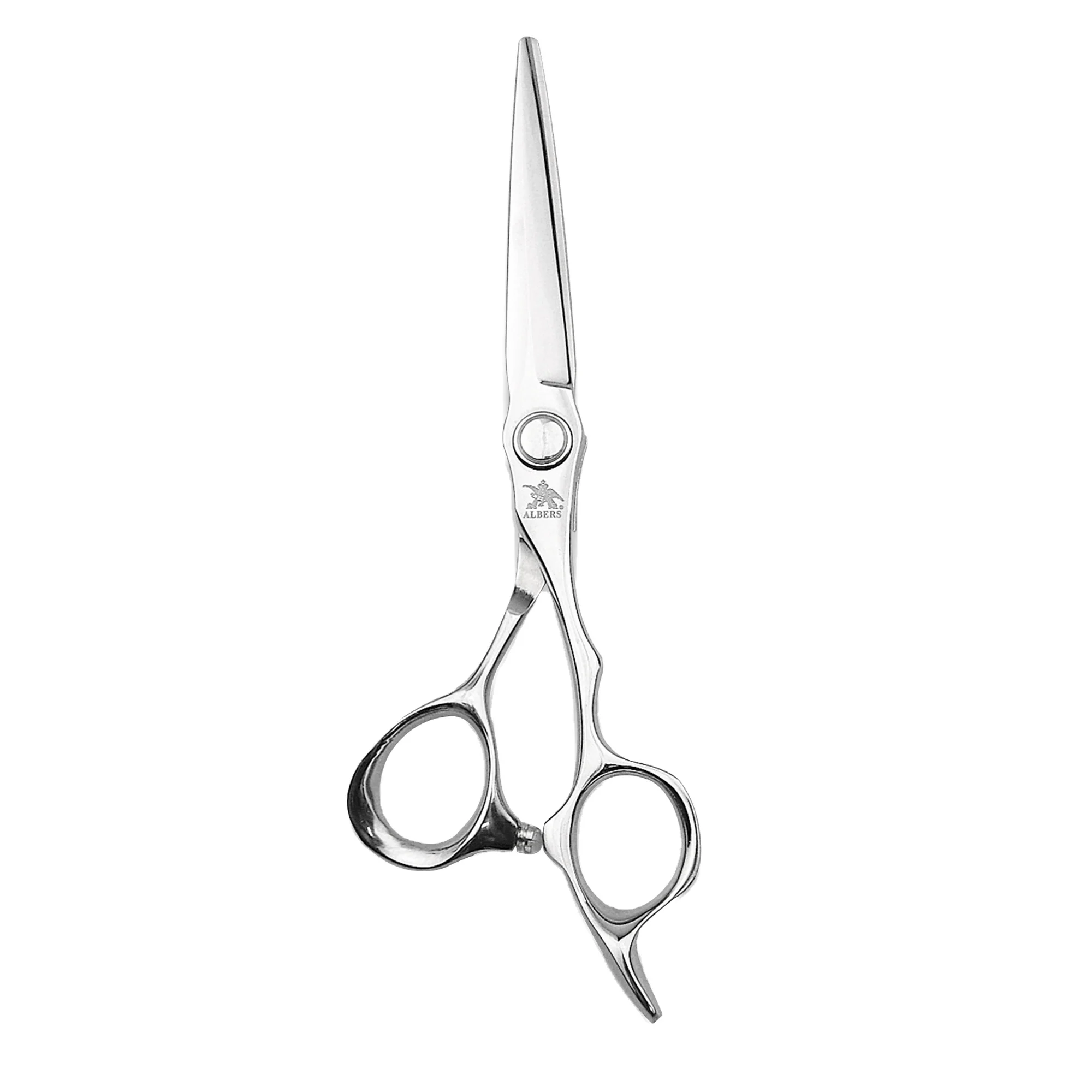 

[2021 LATEST DESIGN] Elegant Japanese VG10 Stainless Steel Professional Hair Cutting Thinning Scissors, Silver