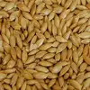 /product-detail/canary-seed-and-bird-mix-seed-62017918766.html