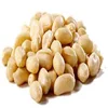 Premium Quality Bold Peanuts / Blanched Peanuts/Buyers Choice