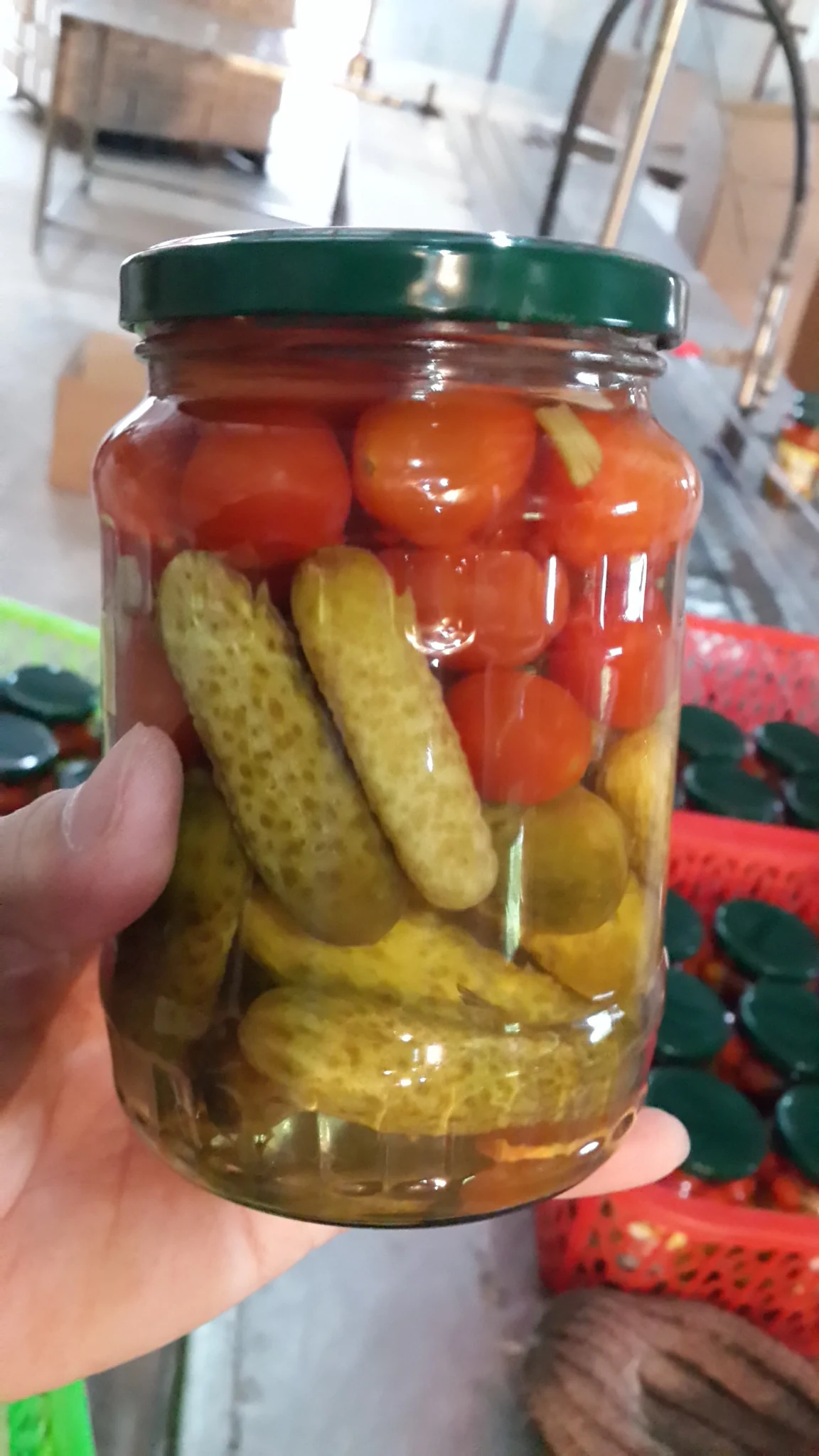 Pickled Gherkin/ Cucumber/ Cornichon From Vietnam With High Quality