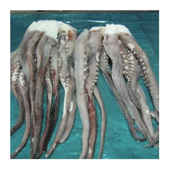 Кальмар тушка Д.Восток купить в Москве оптом. Цены низкие