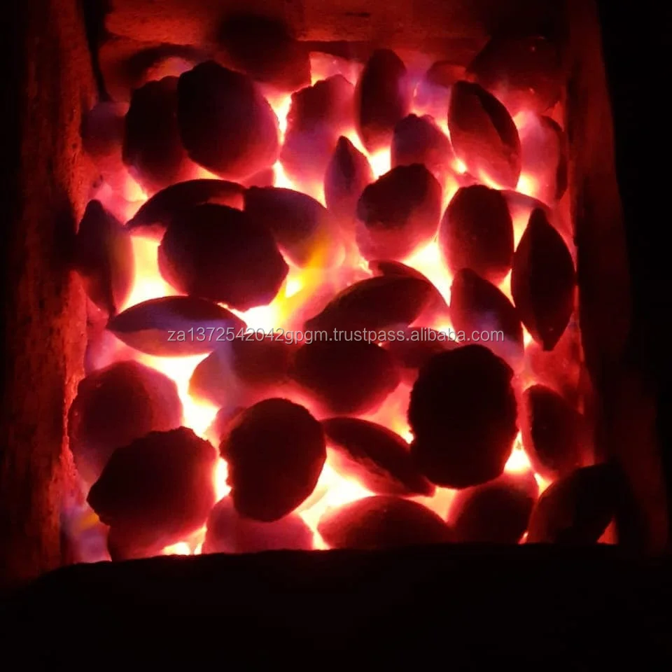 Coconut Shell2.jpg
