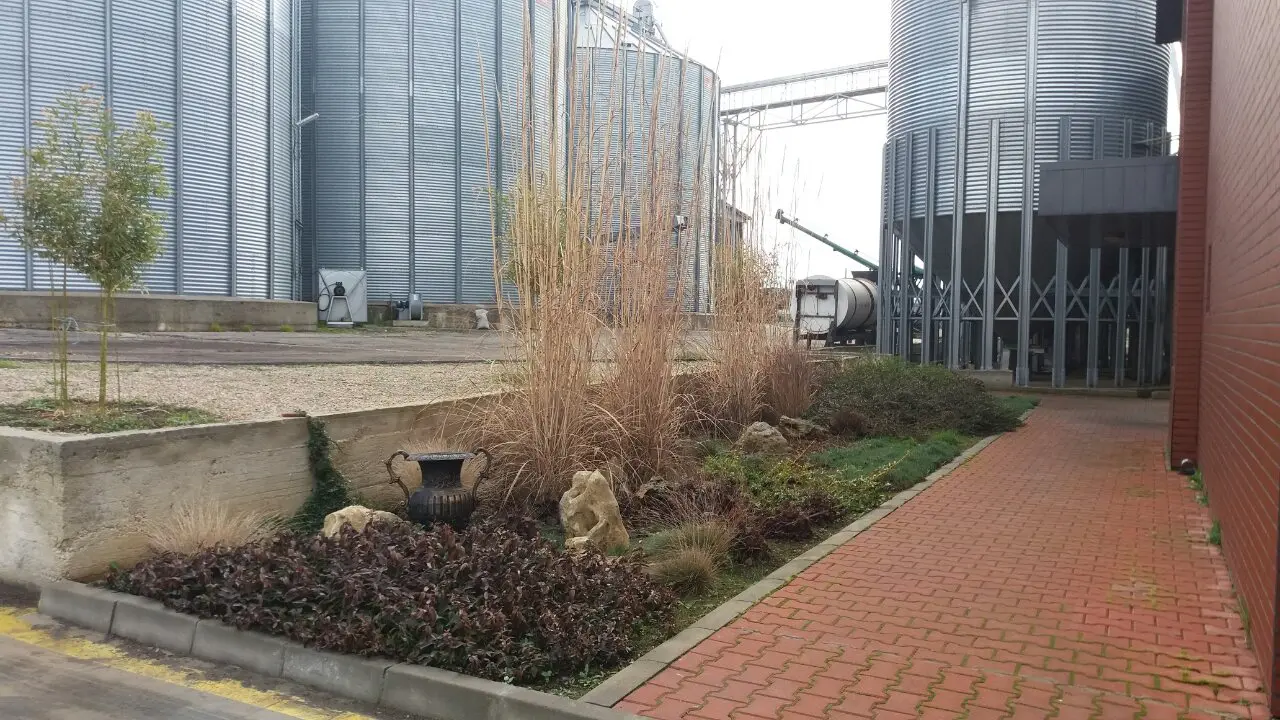 grain-store.jpg