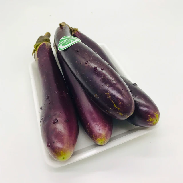 
FRESH ORGANIC EGGPLANT VIET NAM 