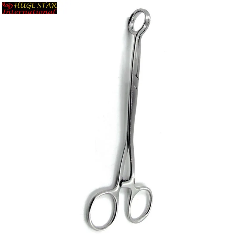 
Surgical Collins Tongue Seizing Forceps 6.5 Jaws Wide/Laboratory Forceps 