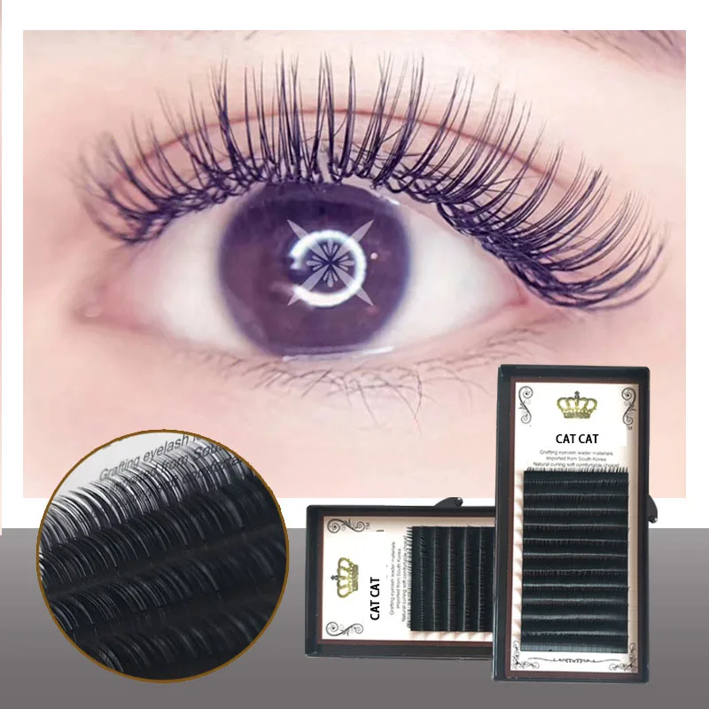 

Low Moq wholesale own brand private label 8-14mm 0.1thick Soft nature black pre made mink fans russian volume eyelashes