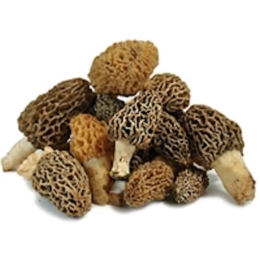  DRIED MUSHROOM 3.jpg