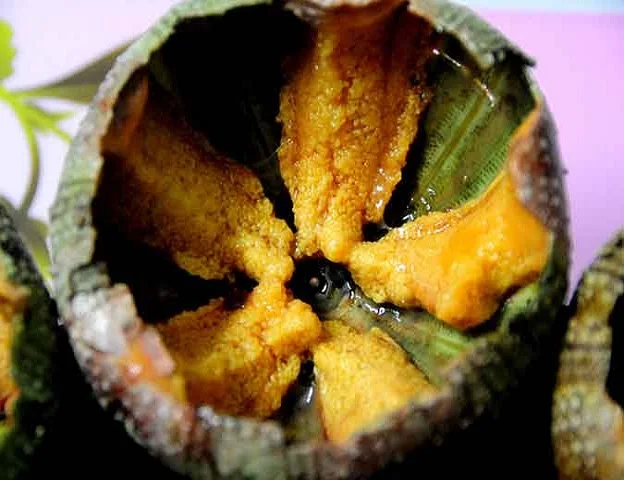 
HOT SELLING FRESH/FROZEN SEA URCHIN (UNI) COMPETITIVE PRICE 