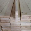 Pine (Pinus sylvestries ) for sale