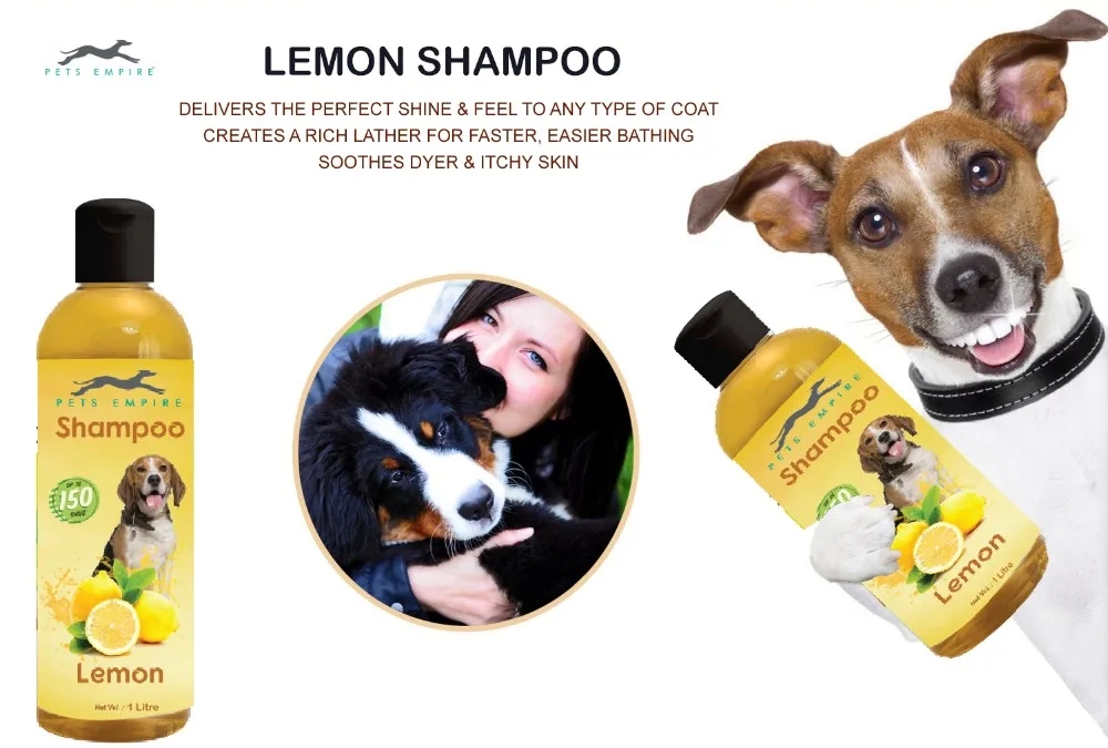 Шампунь для собак упаковка. Собачий шампунь. Шампуни животных для людей. Шампунь для собак профессиональный. Шампунь и кондиционер для собак.