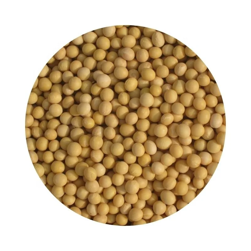 
Wholesale yellow soybeans forage seed soy bean oilseed crop 