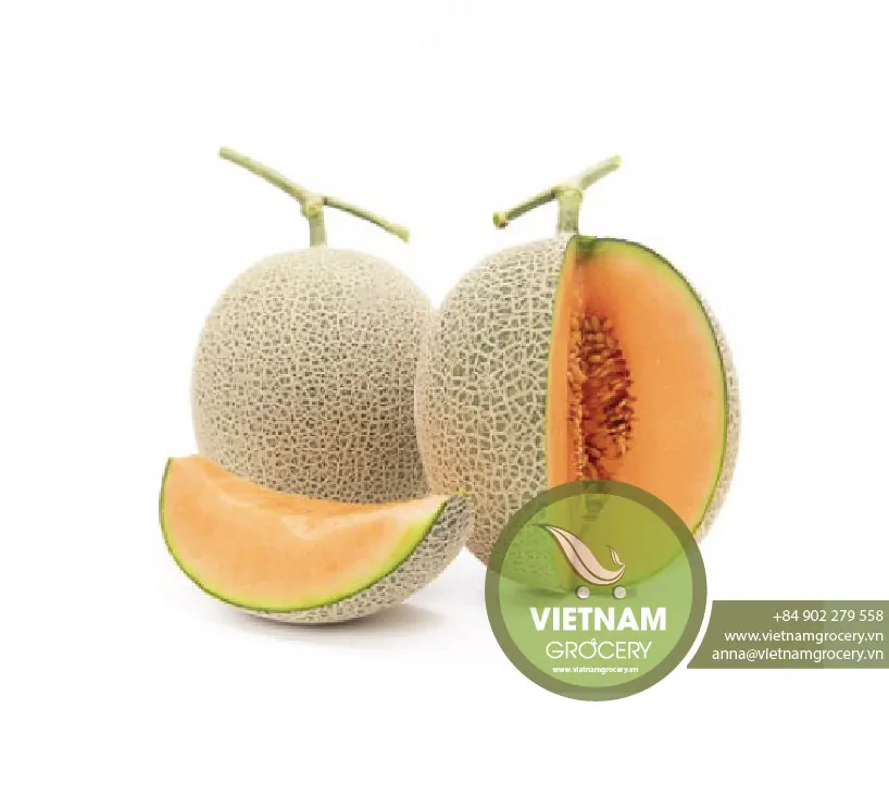 Vietnam Organic and Healthy Hami Melon AA Grade