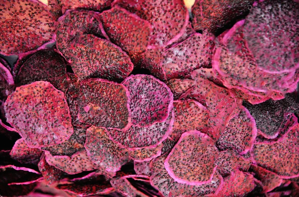 Fruit Snacks Healthy Dry Fruits Lowest Price Freeze Dried Dragon Fruit