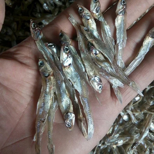 Salted Dried Anchovy / Steamed Anchovies Fish Origin Viet Nam With High