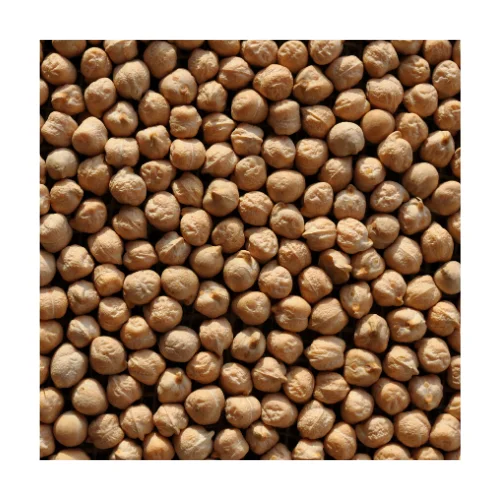 
Russian desi / kabuli / garbanzo beans / channa / Ceci / Chickpeas 
