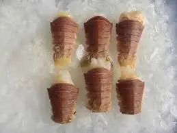 
Best quality Frozen Slipper Lobster In Viet Nam 
