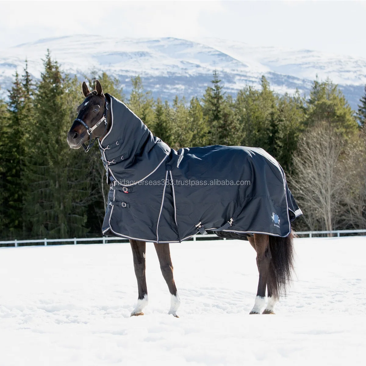 WINTERNIDAR1302.jpg