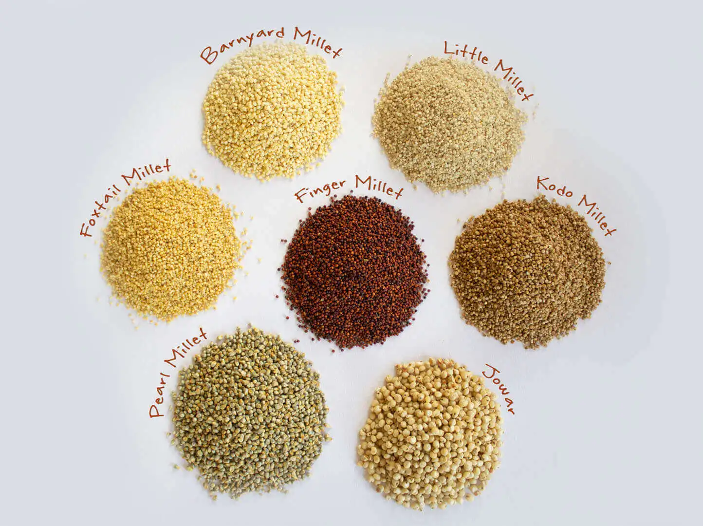 MILLET