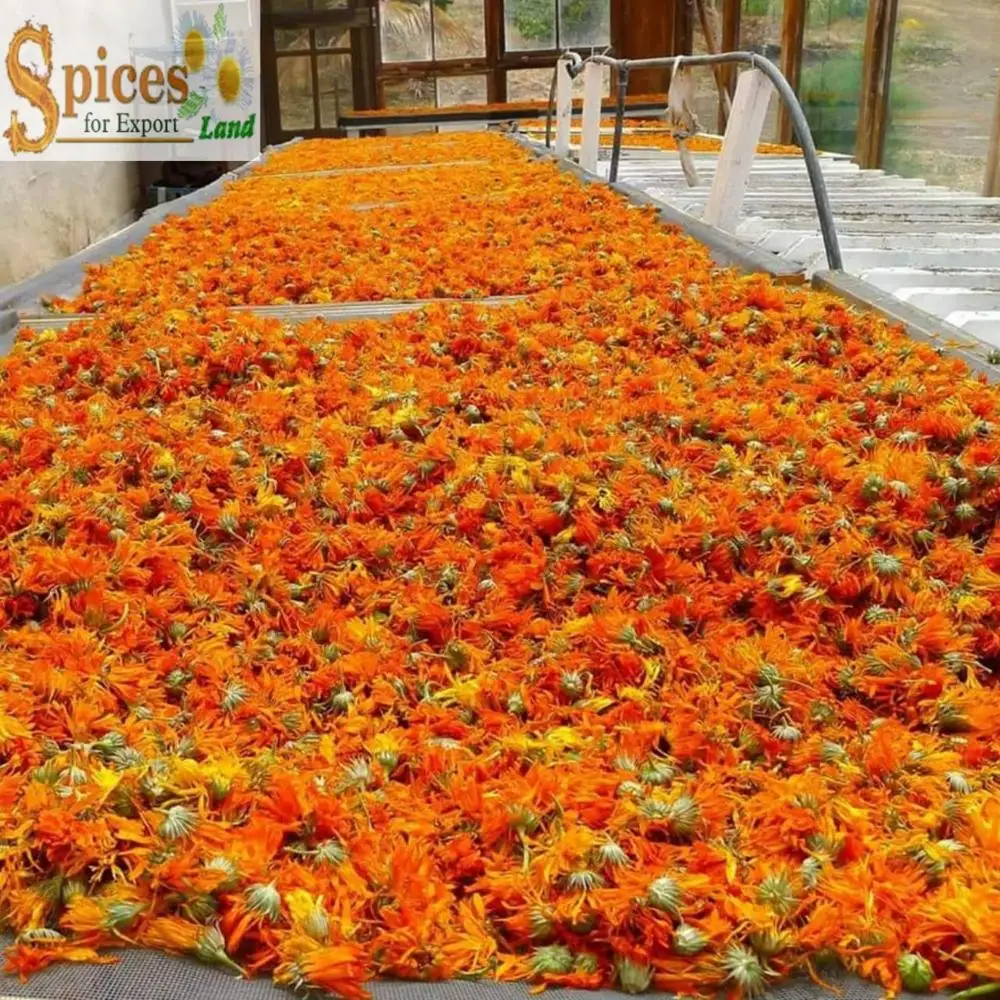 
Calendula Flowers-BEST QUALITY, BEST PRICES (SPICES LAND FOR EXPORT) 