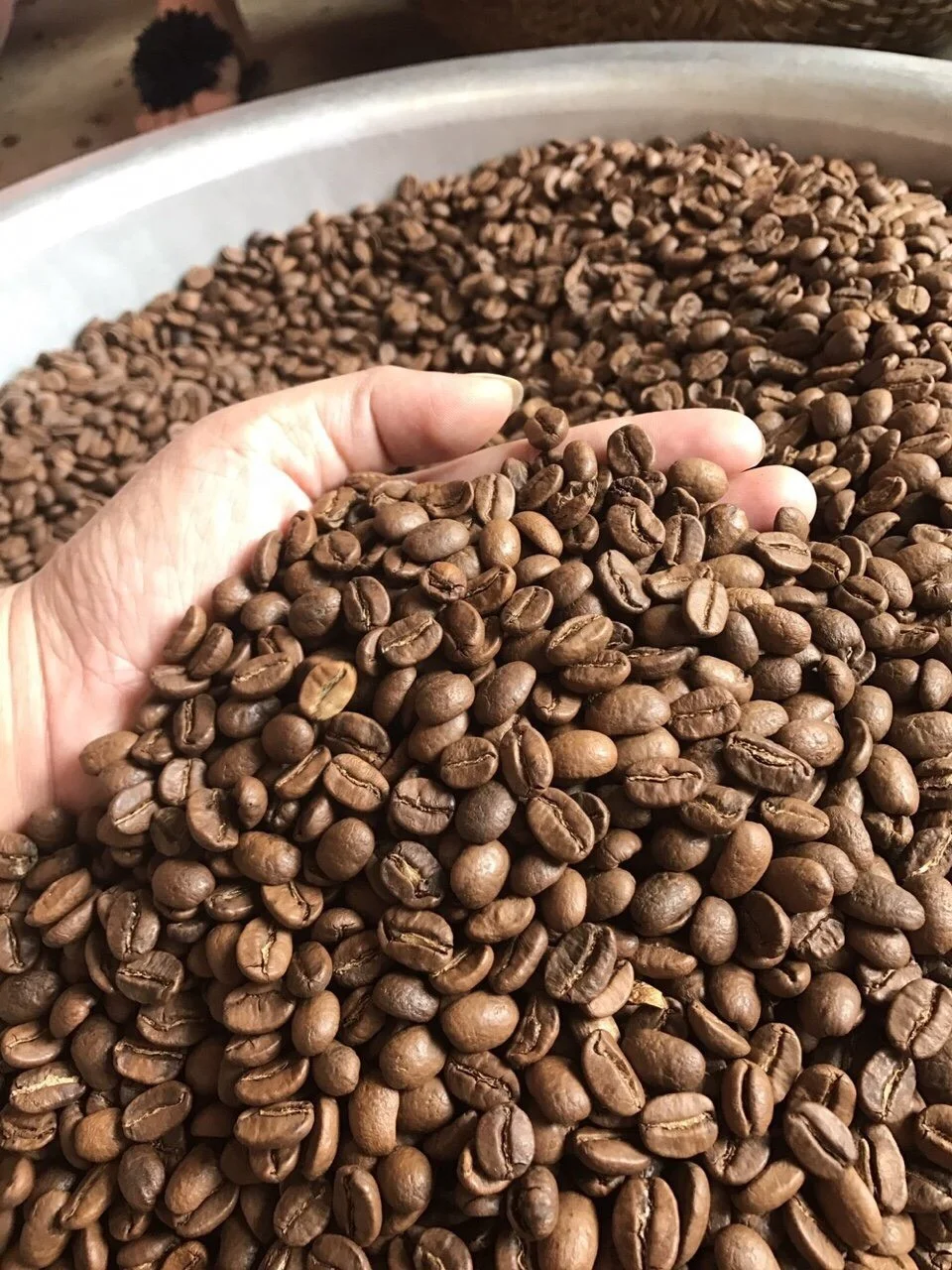 
Grains de cafe pas cher prix grand exportateur +84765149122 