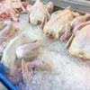 /product-detail/we-have-very-healthily-raised-and-well-taken-care-frozen-chicken-at-good-wholesales-prices-62012869107.html
