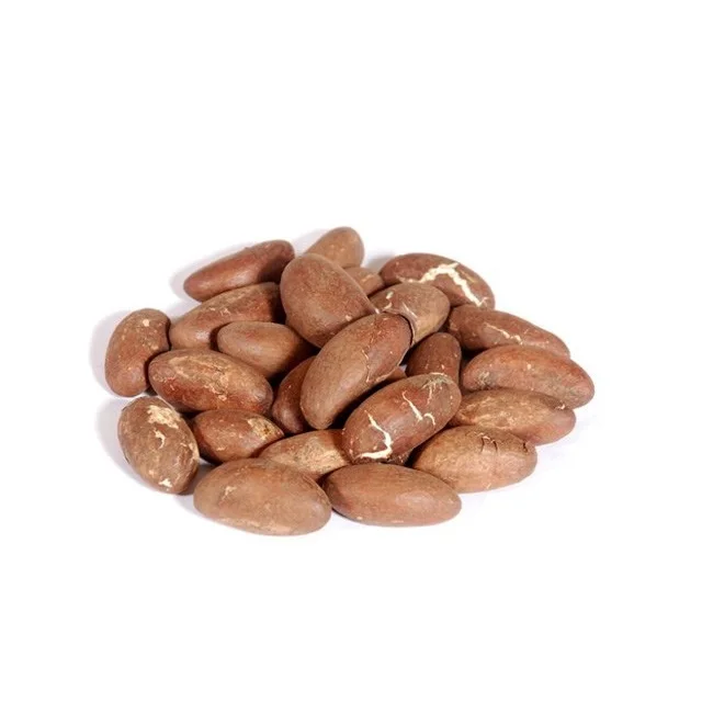 Fresh Dried Bitter Kola/ Bitter Kola Nuts Buy Kola Nut,M14x1.25 Nuts