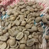 RAW COFFEE BEANS
