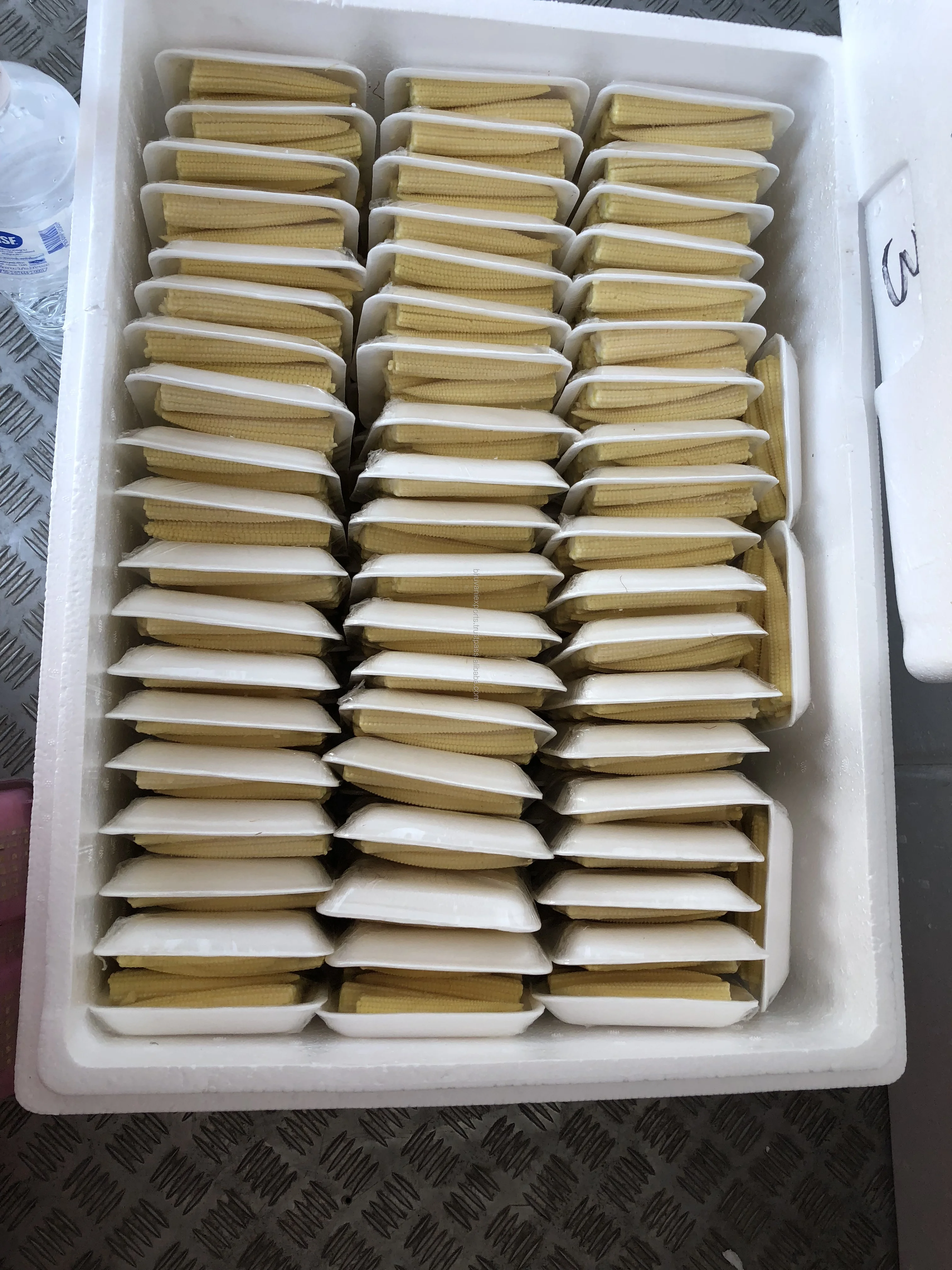 Babycorn Packed 1.jpg