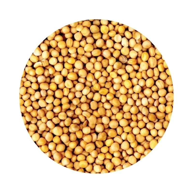 
Wholesale organic russian chickpea agricultural crop 