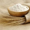 WHEAT FLOUR MULTI PURPOSES BREAD MAKING FROM FACTORY ORIGIN TURKEY