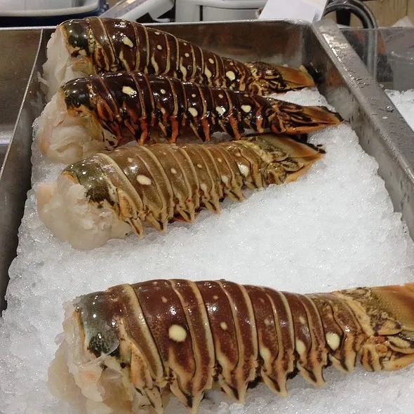 Fresh Cheapest Live Canadian Lobsters / Frozen Lobster Tails 25 Tons