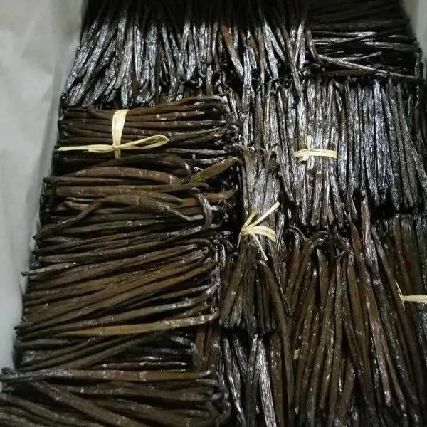 Vanilla beanss 02.jpg