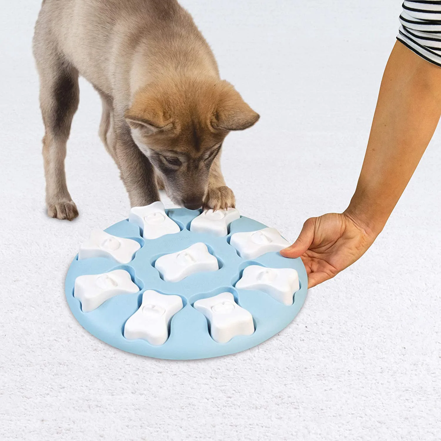 

Heighten biodegradable collapsible water storage set elevated suspended plastic silicon dog and cat feeding mat food mixer bowl, Picture show