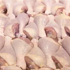 Halal Frozen Chicken Quarter Legs From United Kingdom