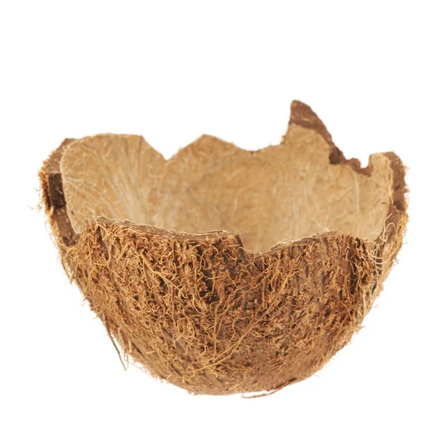 
Agriculture Waste Raw Coconut Shell with High Quality 