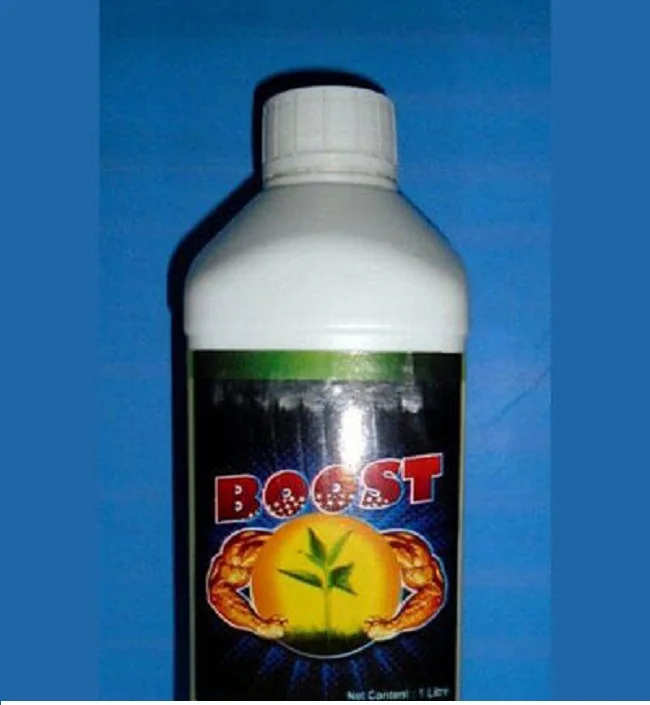 BOOST-1