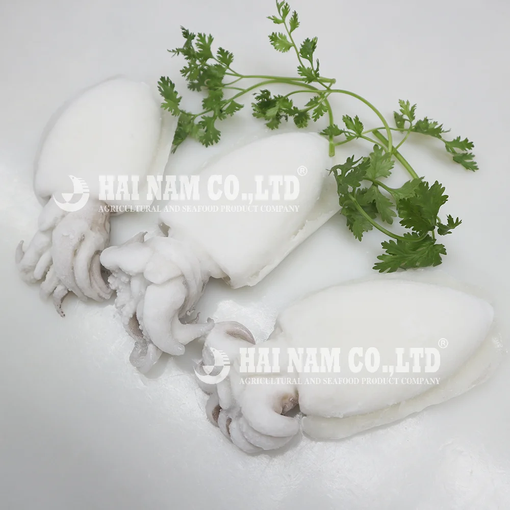 
2 years Shelf Life Best Price High Quality Frozen Cuttlefish Whole cleaned Raw with HACCP Certification from Vietnam 