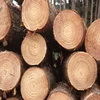 Okoume log:Indonesian hardwood like Okoume boards, Wenage, Umbila plain sawn